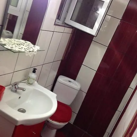 Апартаменти Vila Ursu Balu