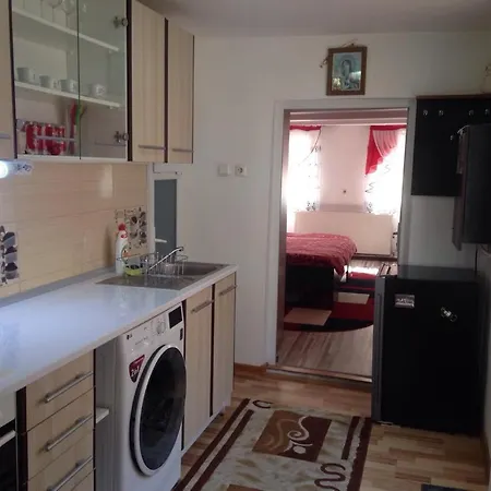 Апартаменти Vila Ursu Balu Брашов