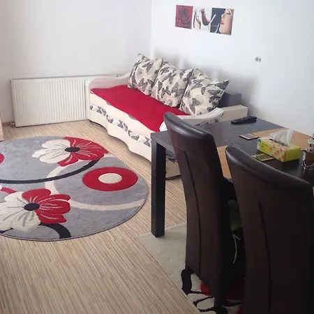 Vila Ursu Balu Апартаменти *
