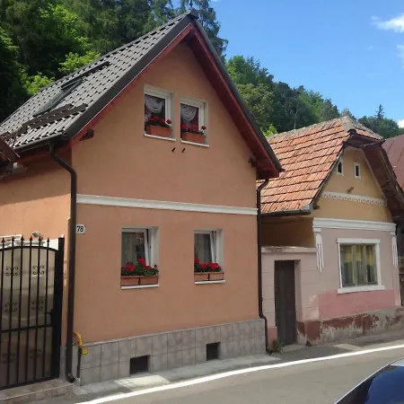 Апартаменти Vila Ursu Balu