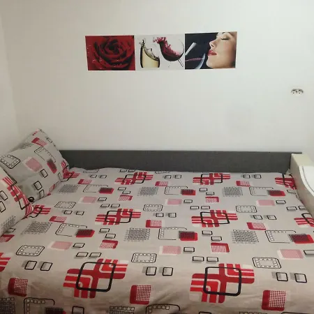Vila Ursu Balu Апартаменти *