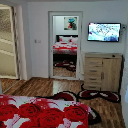 Апартаменти Vila Ursu Balu